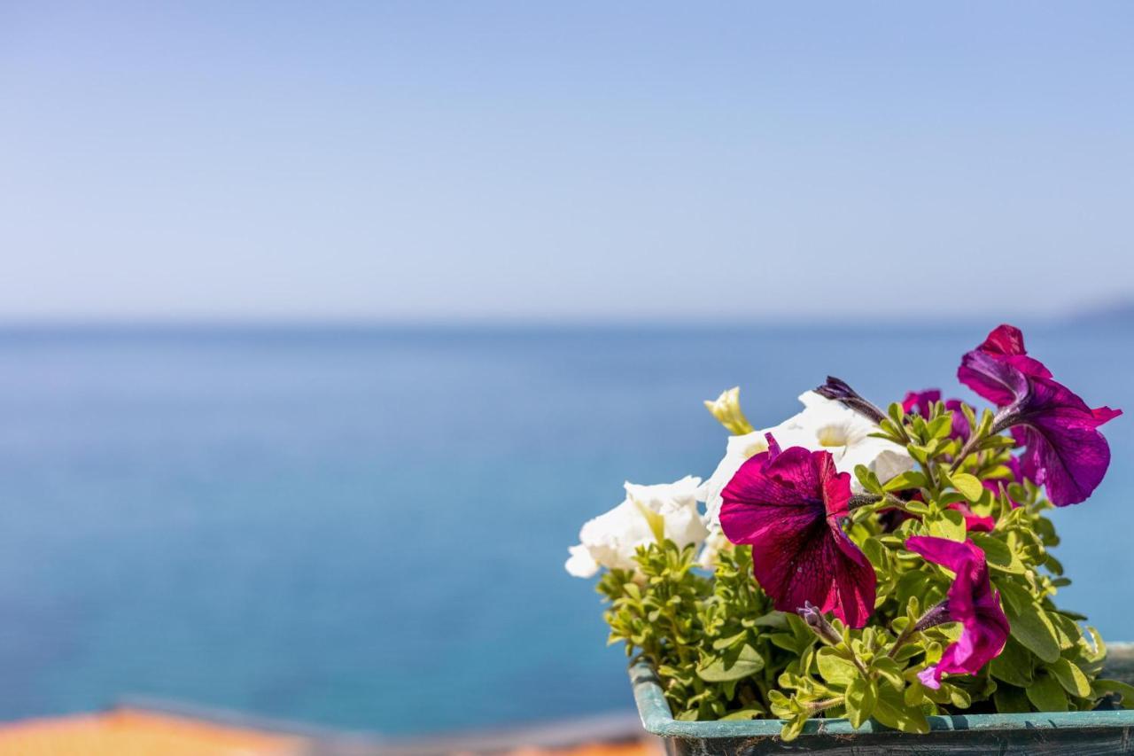 マゴマーダス La Terrazza Sul Mareヴィラ エクステリア 写真